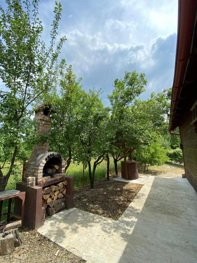 Dejani Ab'S Rustic Cabin מראה חיצוני תמונה
