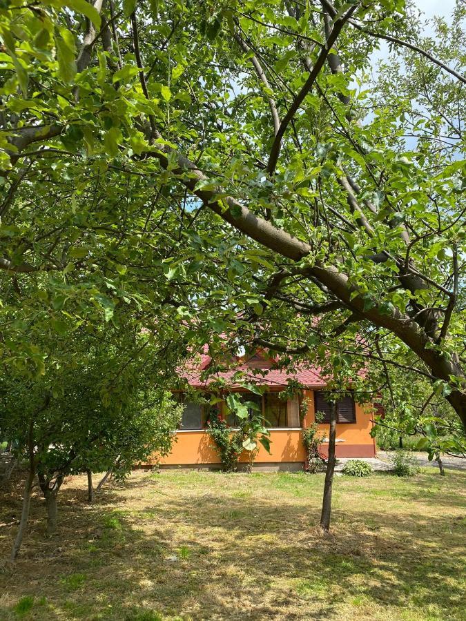 Dejani Ab'S Rustic Cabin מראה חיצוני תמונה