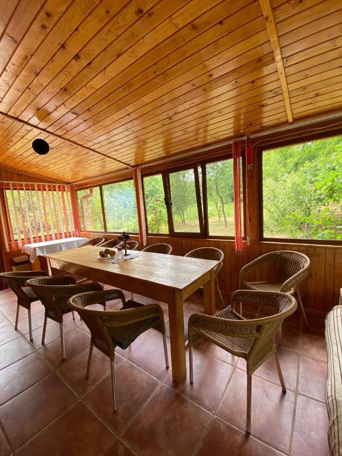 Dejani Ab'S Rustic Cabin מראה חיצוני תמונה