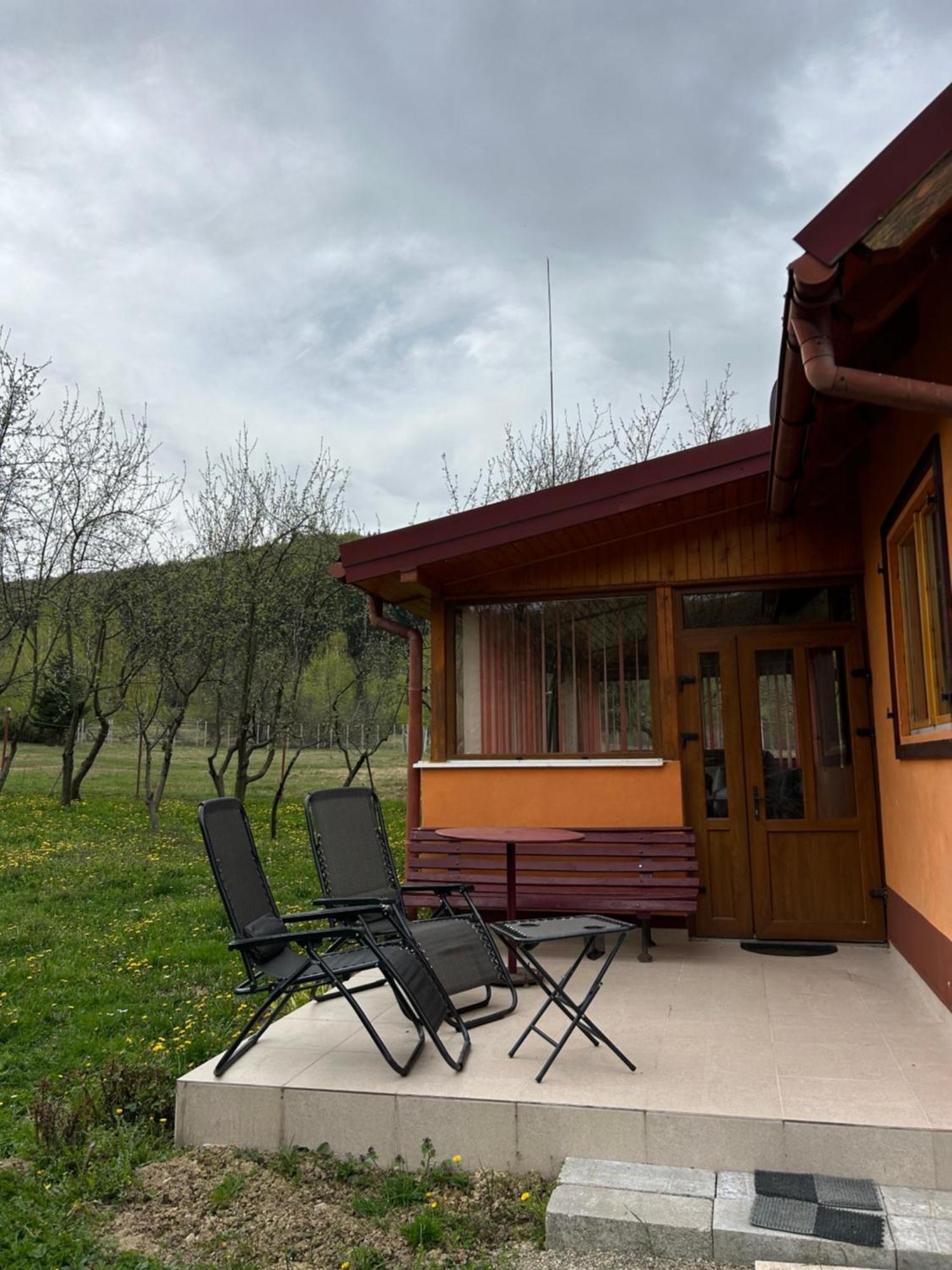 Dejani Ab'S Rustic Cabin מראה חיצוני תמונה